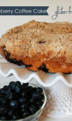 Blueberry Coffee Cake {gluten-free}
