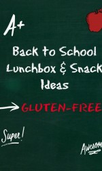 Back to School Gluten-free Lunchbox Snack Ideas