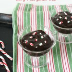 Chocolate Mint Pudding {Dairy-free, Gluten-free} So rich and creamy. Couldn't tell it was dairy-free!