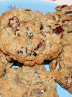 Swirled Chocolate Chip Cranberry Oatmeal Cookies