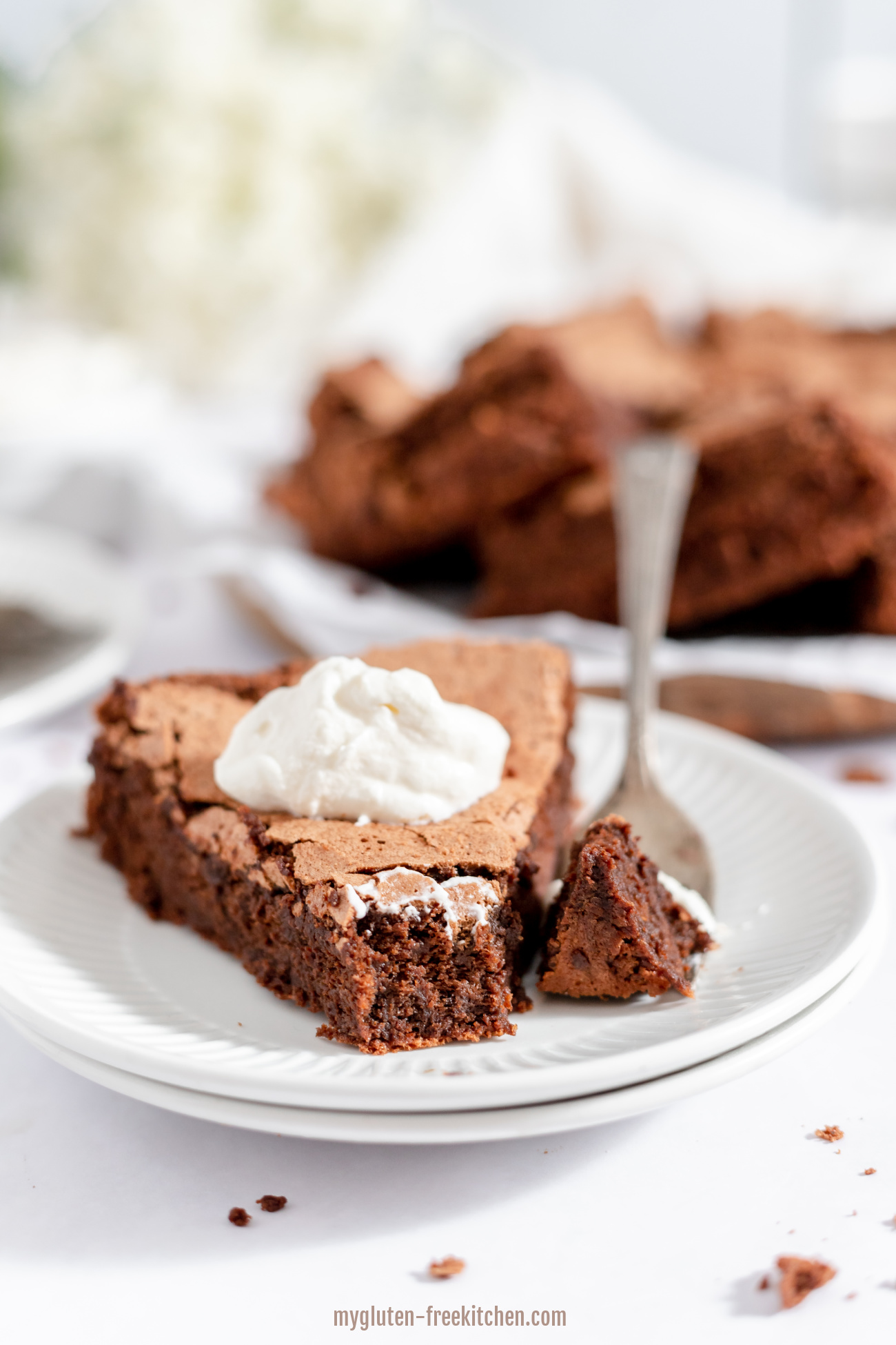 https://mygluten-freekitchen.com/wp-content/uploads/2013/02/Best-Flourless-Chocolate-Cake-Recipe.jpeg