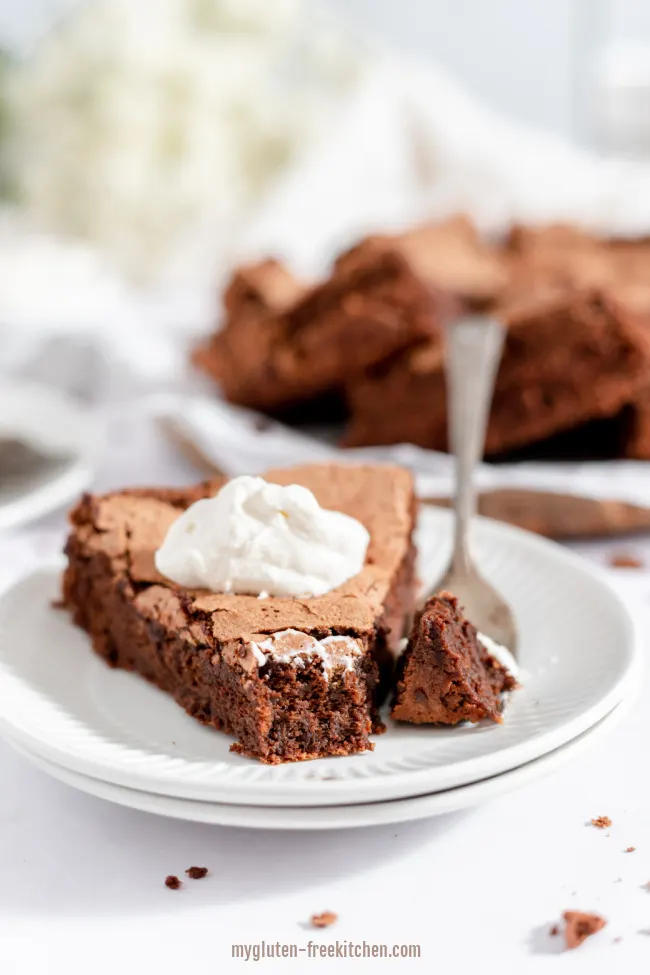 https://mygluten-freekitchen.com/wp-content/uploads/2013/02/Gluten-free-Flourless-Chocolate-Cake.jpeg.webp
