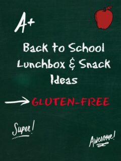 Back to School Gluten-free Lunchbox Snack Ideas