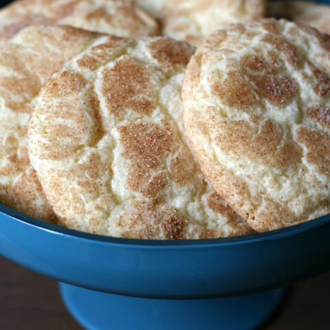 Bowl with Gluten-free Snickerdoodles