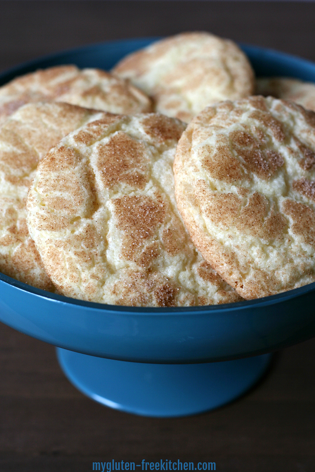 Bowl with Gluten-free Snickerdoodles