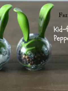Kid-friendly Salt and Pepper Shakers