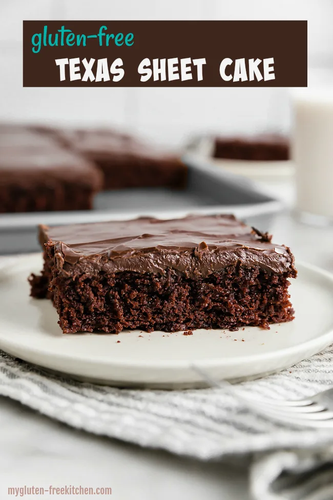 Texas Sheet Cake: Fudgy chocolate cake you will love
