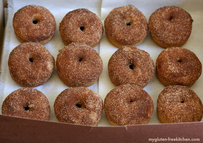 Gluten-free Cinnamon Donuts