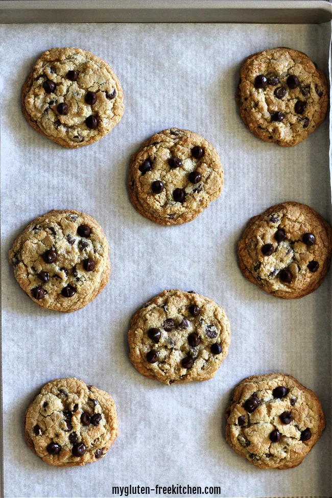 Gluten-free Chocolate Chip Cookies on cookie sheet