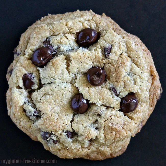 single gluten-free chocolate chip cookie