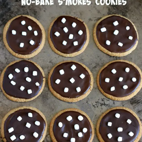 Gluten-free Dairy-free No-Bake S'mores Cookies Recipe. Easy and perfect for cookie exchanges or class parties!