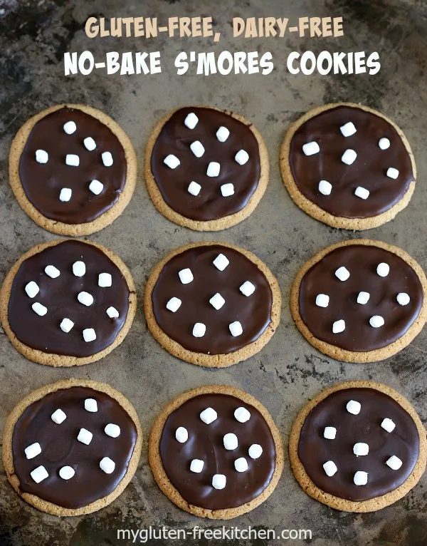 https://mygluten-freekitchen.com/wp-content/uploads/2015/12/Gluten-free-Dairy-free-No-Bake-Smores-Cookies-600x766.jpg.webp