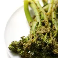 Roasted-Broccolini-with-Lemon-Garlic-Herb-Sauce-3 YES