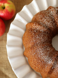 Gluten-free dairy-free Apple Cake Recipe. So moist and delicious and the powdered sugar was the perfect topping.