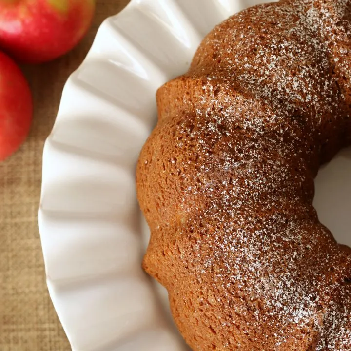 Gluten-free dairy-free Apple Cake Recipe. So moist and delicious and the powdered sugar was the perfect topping.