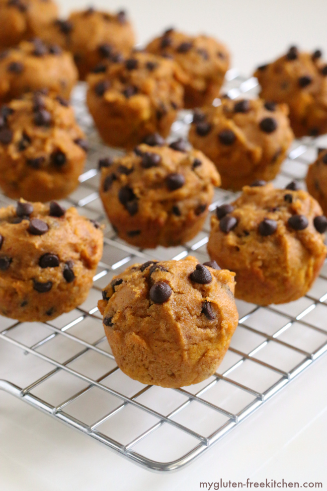 Gluten-free Dairy-free Pumpkin Chocolate Mini-Muffins recipe. Nut-free too!