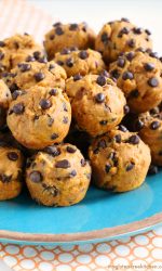 Gluten-free Dairy-free Pumpkin Chocolate Chip Mini-Muffins. Nut-free too!