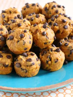 Gluten-free Dairy-free Pumpkin Chocolate Chip Mini-Muffins. Nut-free too!