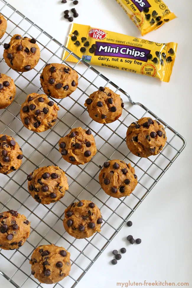Allergy Friendly Pumpkin Chocolate Chip Mini-Muffins. Recipe free of gluten, dairy, soy, corn, and nuts! 