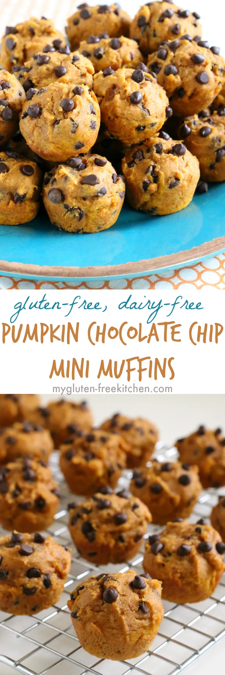 Gluten-free Dairy-free Pumpkin Muffins with Chocolate Chips. Easy, freezer friendly recipe that's nut-free too!