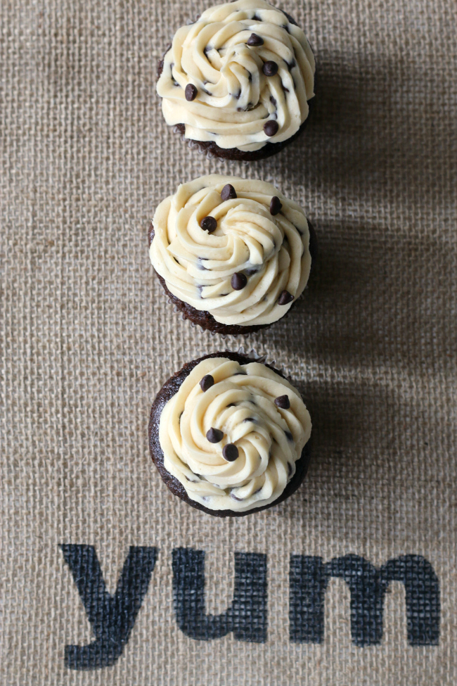 Gluten-free Chocolate Cupcakes with Chocolate Chip Frosting