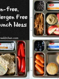 Gluten-free Top 8 Allergen Free School Lunch Ideas. No sandwiches!