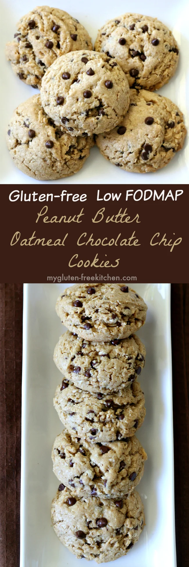 Gluten-free Low FODMAP Peanut Butter Oatmeal Chocolate Chip Cookies Recipe