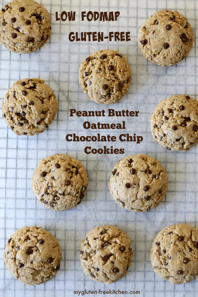 Low FODMAP Gluten-free Peanut Butter Oatmeal Chocolate Chip Cookies Recipe