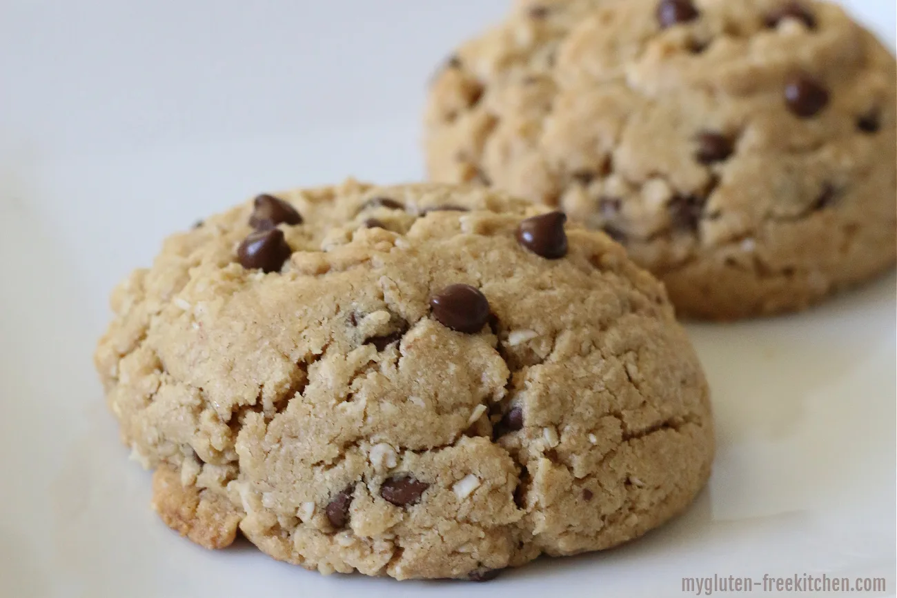 two low fodmap oatmeal peanut butter chocolate chip cookies on white background