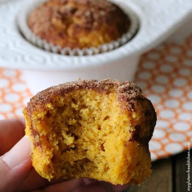 gluten-free pumpkin snickerdoodle muffin