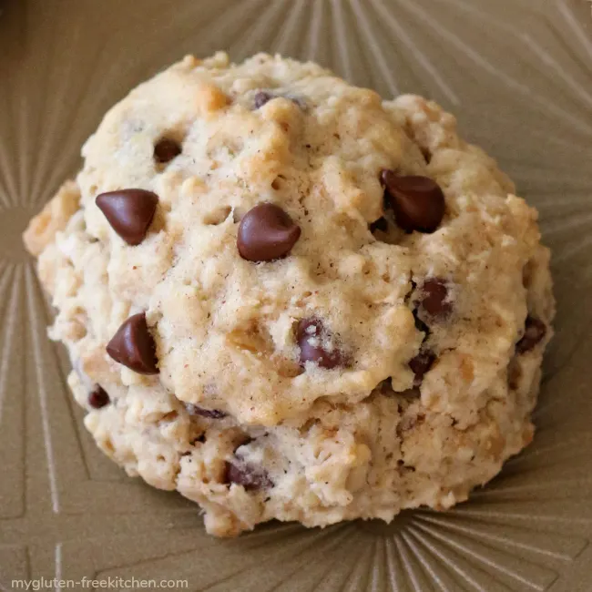 Gluten-free dairy-free banana oatmeal chocolate chip cookie