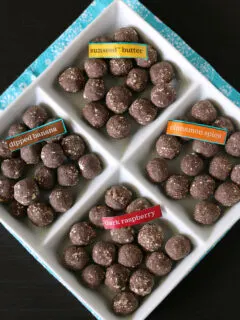 Chocolate Protein Bites from Enjoy Life Gluten-free and top allergen free