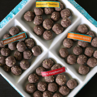 Chocolate Protein Bites from Enjoy Life Gluten-free and top allergen free