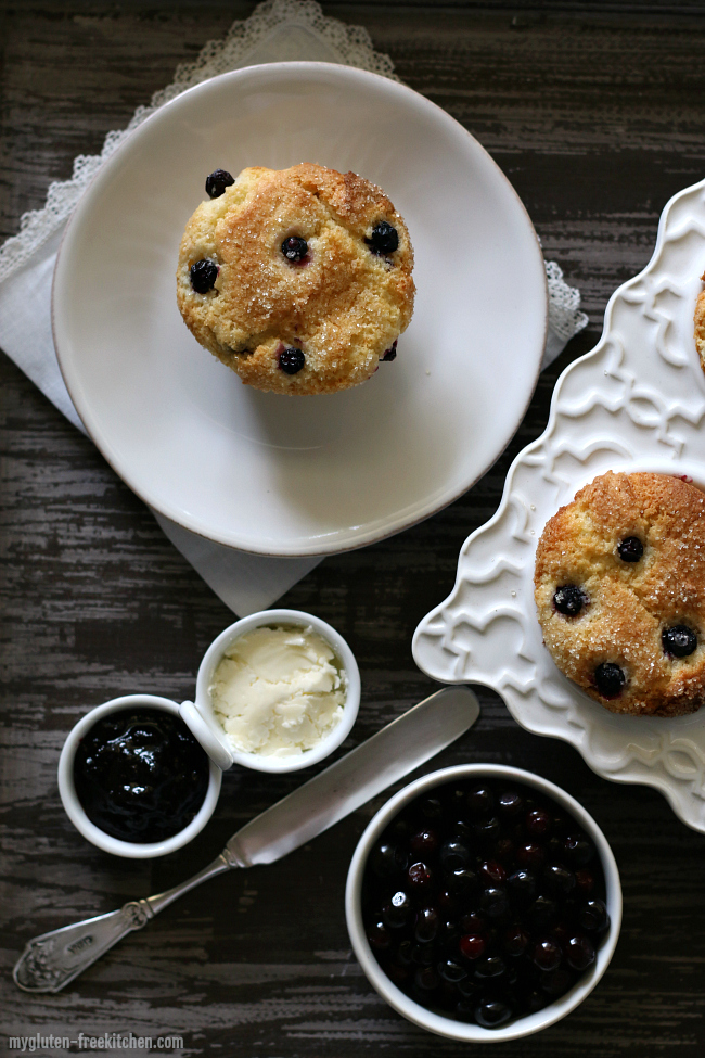 Gluten-free Huckleberry Muffin Recipe