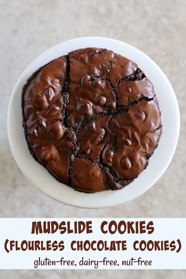 Gluten-free Mudslide Cookies Recipe Flourless Chocolate Cookies gluten-free dairy-free nut-free