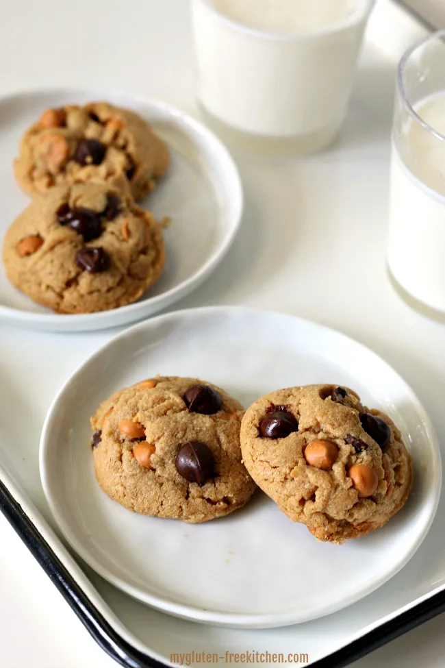Gluten-free Peanut Butter Cookies with butterscotch and chocolate chips with a glass of milk