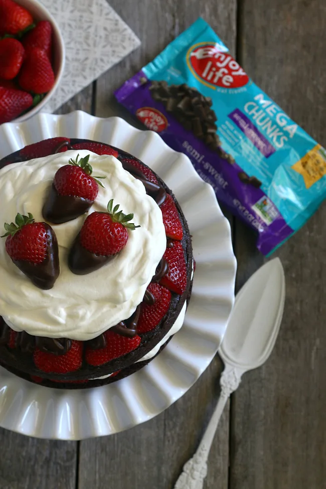 Gluten-free Chocolate Strawberry Cake Dessert
